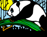 Disegno Oso panda che mangia  pitturato su stefo