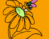 Disegno Margherita con ape  pitturato su manuela aprea