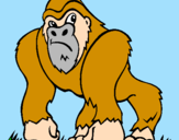 Disegno Gorilla pitturato su sebastiano