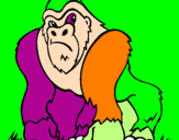 Disegno Gorilla pitturato su anna
