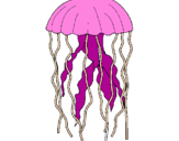 Disegno Medusa  pitturato su medusa rosa