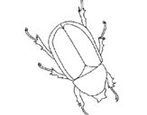 Disegno Scarabeo  pitturato su scarafaggio 2