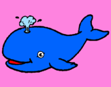 Disegno Balena che spruzza  pitturato su carlotta
