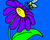 Disegno Margherita con ape  pitturato su chioccuore