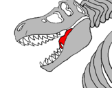 Disegno Scheletro di Tyrannosaurus rex pitturato su GIORGIA