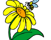 Disegno Margherita con ape  pitturato su sonia