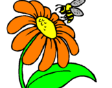Disegno Margherita con ape  pitturato su fiore7