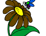 Disegno Margherita con ape  pitturato su alessio