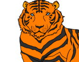 Disegno Tigre pitturato su   Tigrotto