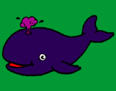 Disegno Balena che spruzza  pitturato su marty2011