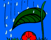 Disegno Coccinella protetta dalla pioggia  pitturato su MATTY