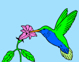 Disegno Colibrì con un fiore  pitturato su silvia