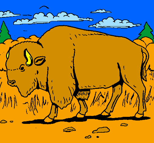 Bufalo 