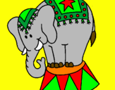 Disegno Elefante in scena  pitturato su lorenzo