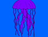 Disegno Medusa  pitturato su andrea perini