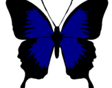 Disegno Farfalla con le ali nere pitturato su Marty
