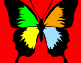 Disegno Farfalla con le ali nere pitturato su giulia 2003