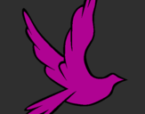 Disegno Colomba della pace in volo pitturato su chantal