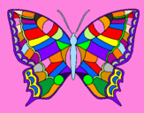 Disegno Farfalla  pitturato su amanda