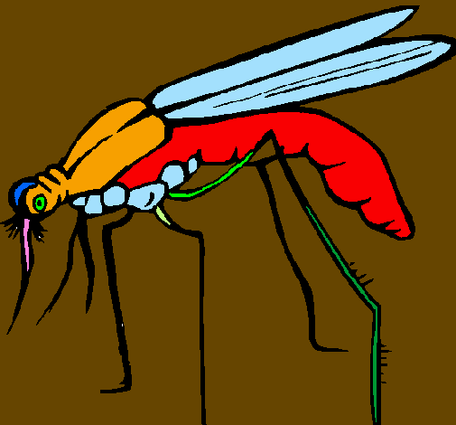Zanzara 