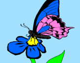 Disegno Farfalla su un fiore pitturato su CHIARA