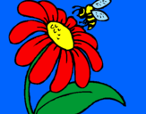 Disegno Margherita con ape  pitturato su ale