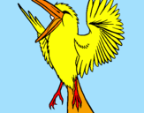 Disegno Uccello ribelle  pitturato su silvia