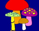 Disegno Funghi pitturato su alice