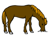 Disegno Cavallo che mangia  pitturato su cavallo marrone
