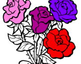 Disegno Mazzo di rose  pitturato su h