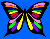 Disegno Farfalla pitturato su marghe