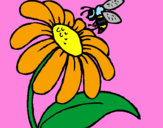 Disegno Margherita con ape  pitturato su ELISA 2006