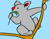Disegno Koala  pitturato su ALEX