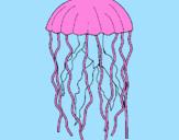 Disegno Medusa  pitturato su giuseppe e davide