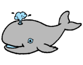 Disegno Balena che spruzza  pitturato su paola
