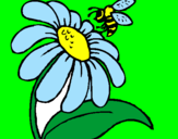 Disegno Margherita con ape  pitturato su smilerebecca