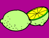 Disegno limone  pitturato su lime