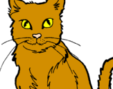 Disegno Gatto  pitturato su giallongo