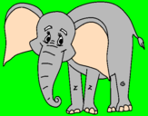 Disegno Elefante felice  pitturato su luciana