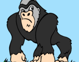 Disegno Gorilla pitturato su king kong