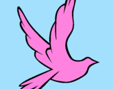 Disegno Colomba della pace in volo pitturato su denise