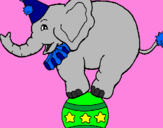 Disegno Elefante sulla palla  pitturato su Emma