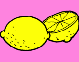 Disegno limone  pitturato su Laura