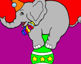 Disegno Elefante sulla palla  pitturato su DANIELE