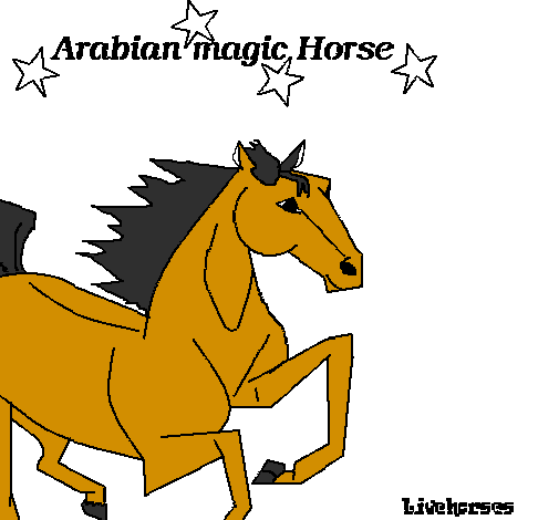 Cavallo Arabo