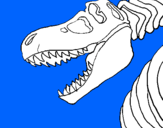 Disegno Scheletro di Tyrannosaurus rex pitturato su stephen 3 nni