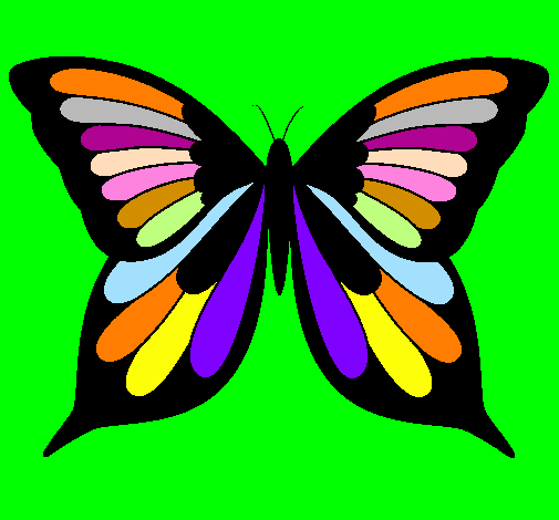 Farfalla 8