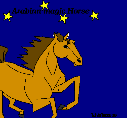 Cavallo Arabo
