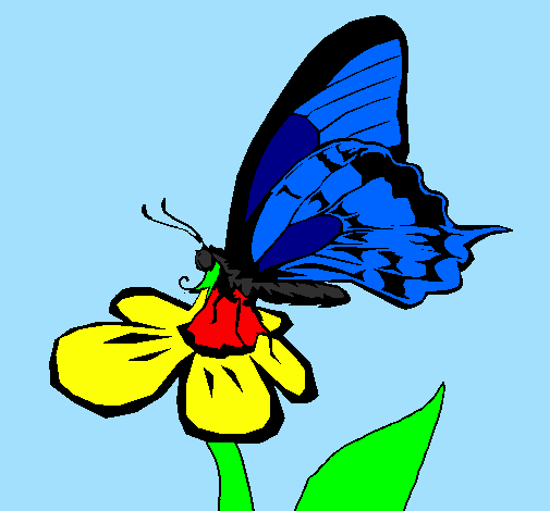 Farfalla su un fiore