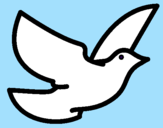 Disegno Colomba della pace  pitturato su giovanna2002